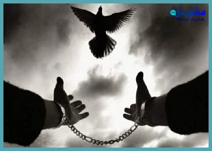 آیا عفو رهبری شامل معترضان ۱۴۰۴ می‌شود؟ بررسی شرایط و ضوابط قانونی