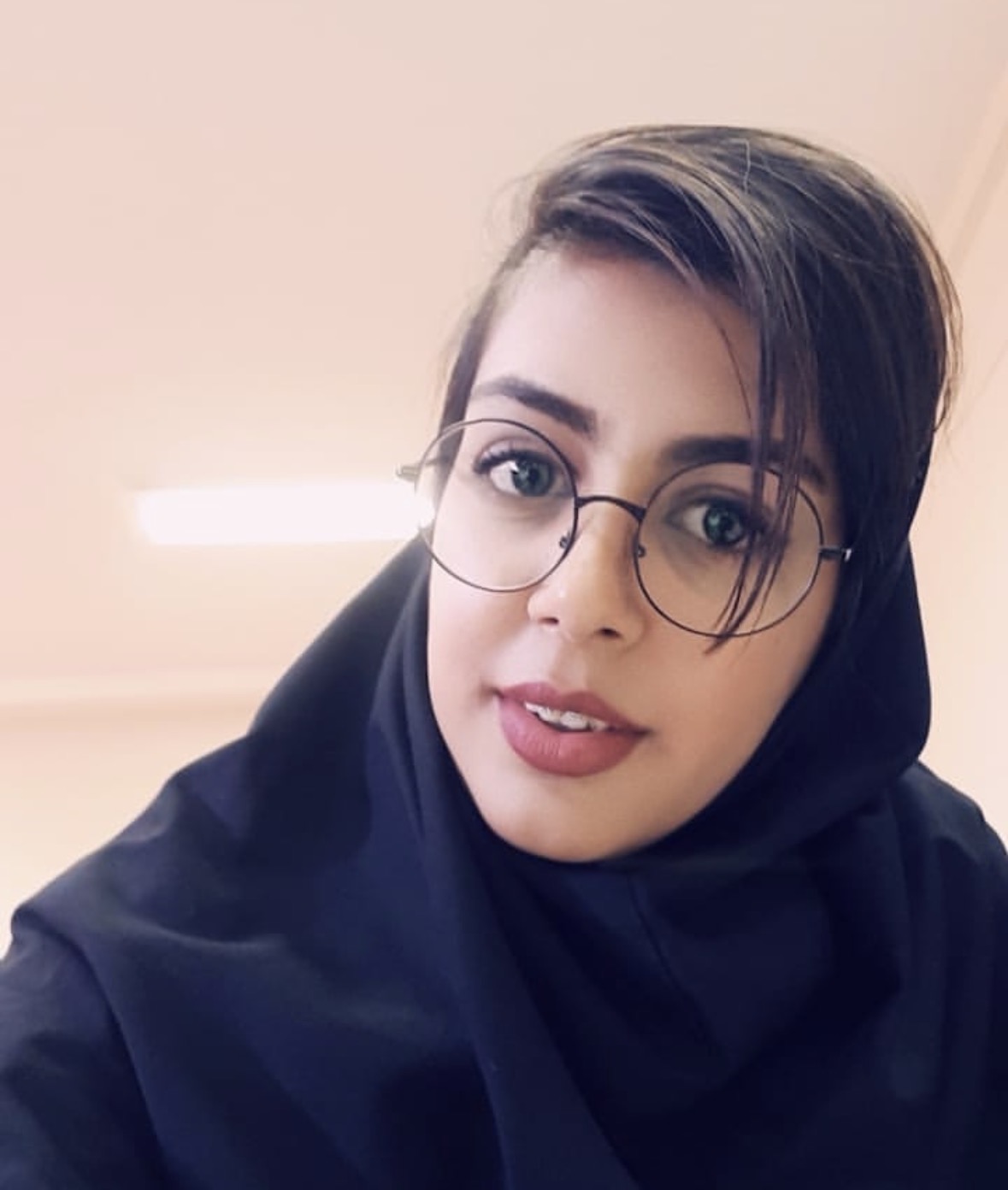مینا گلچین
