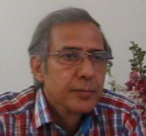 سید مهدی میرهادی