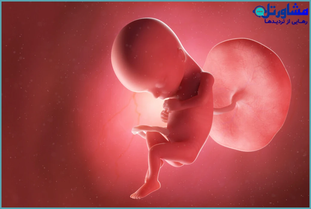 قوانین سقط جنین در کشورهای پیشرفته