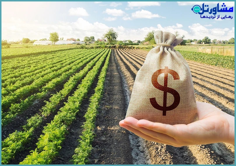 خرید زمین بدون بررسی وضعیت کاربری