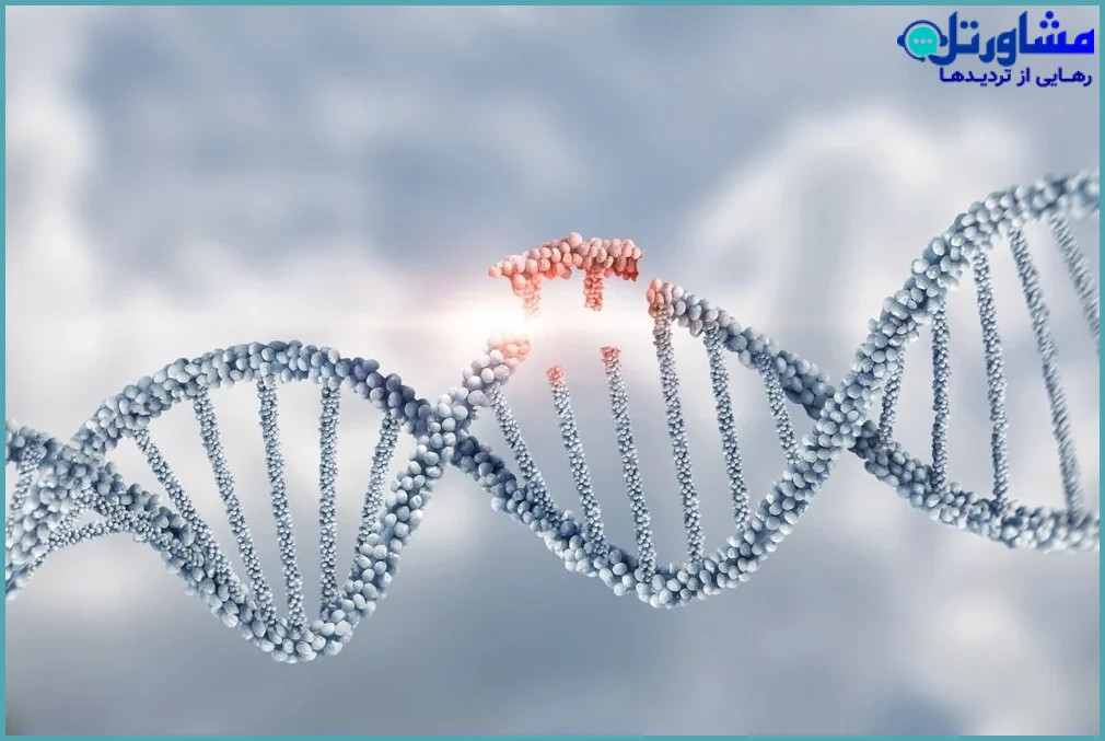 آیا ژنتیک تنها عامل است؟