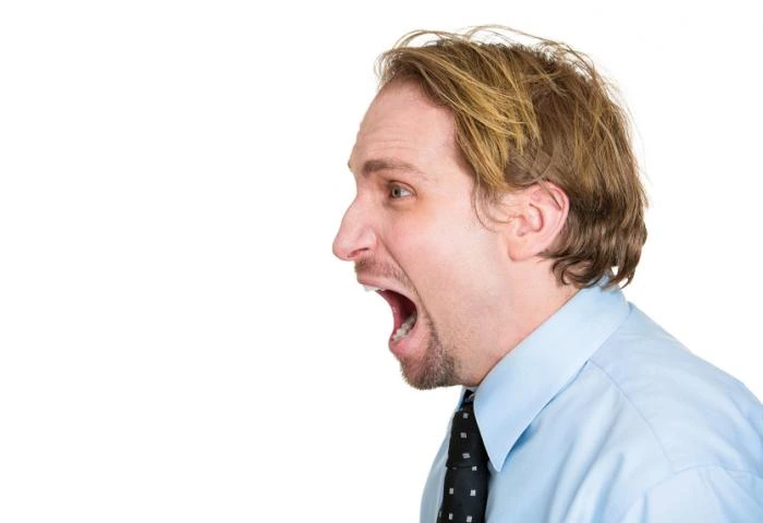 نقش سیستم عصبی در واکنشهای پرخاشگرانه